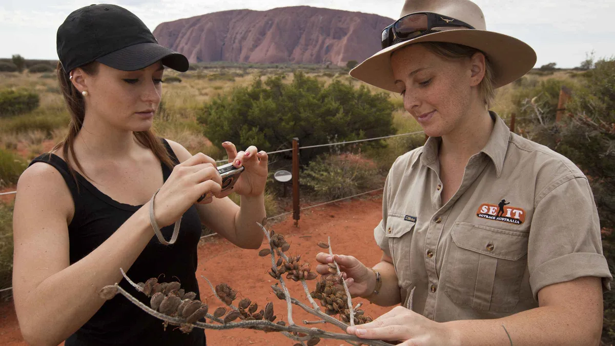 Uluru Sunset Tour: Two Walks, Sparkling Wine, $175.73
