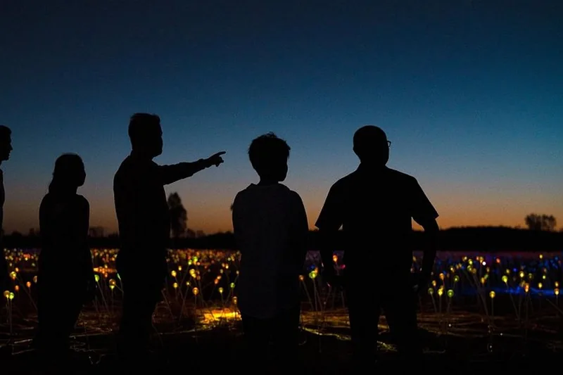 Silhouetted visitors looking over the glowing Field of Light installation at dawn on an Uluru tour, Northern Territory Australia